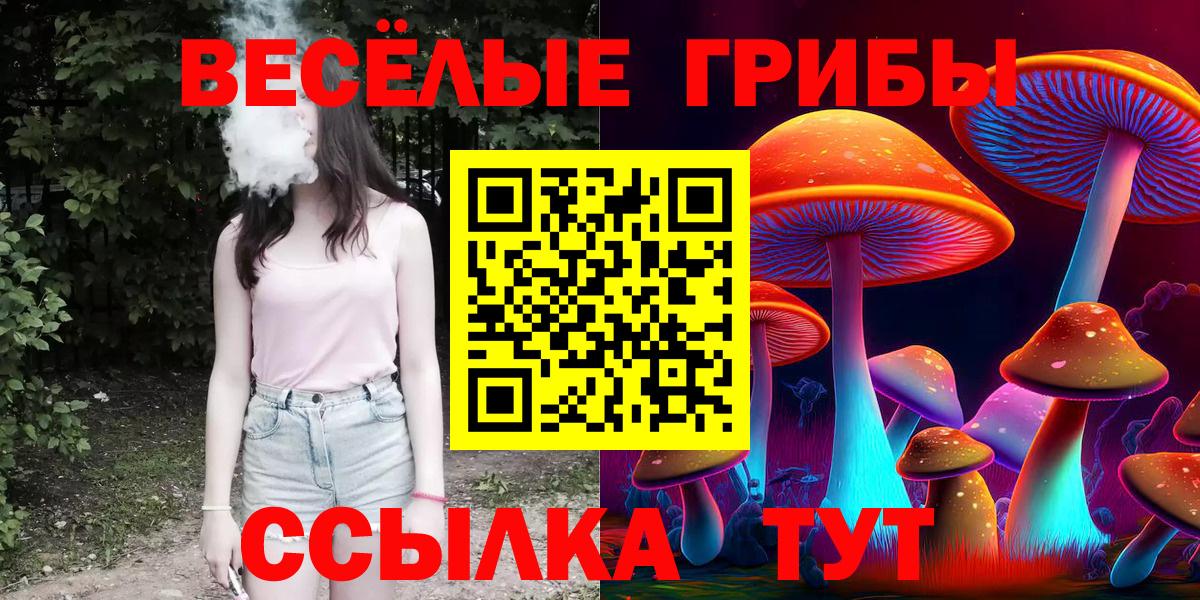 Галлюциногенные грибы Psilocybe  Вход с VPN  Северобайкальск 
